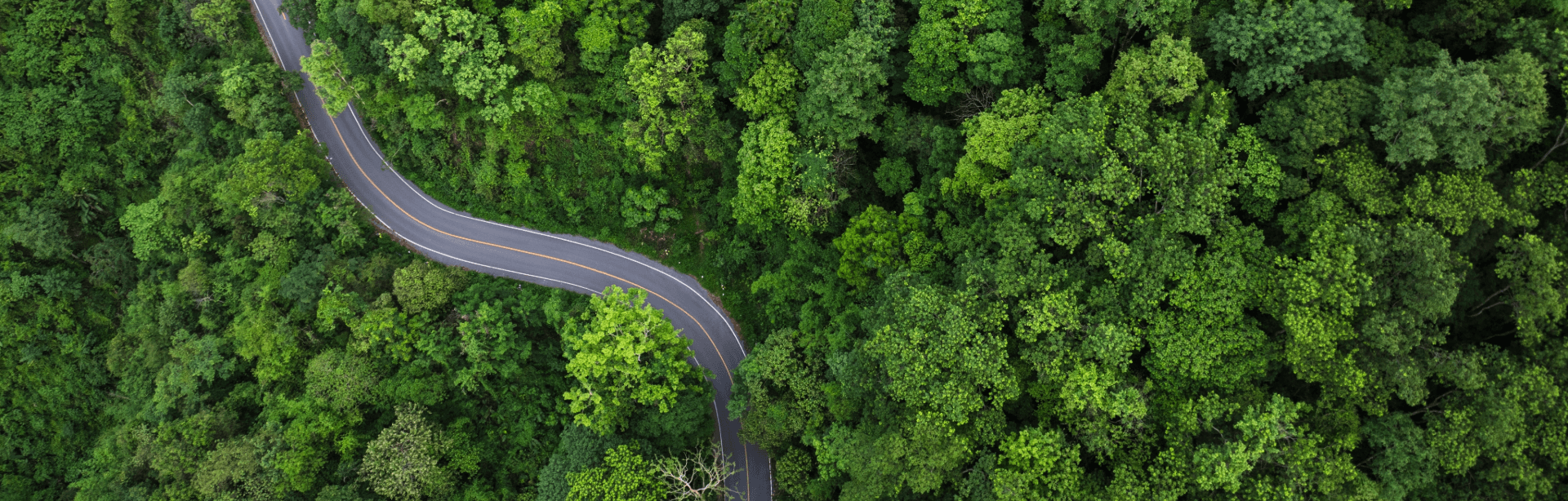 Hyundai EV Environmental Benefits Guide