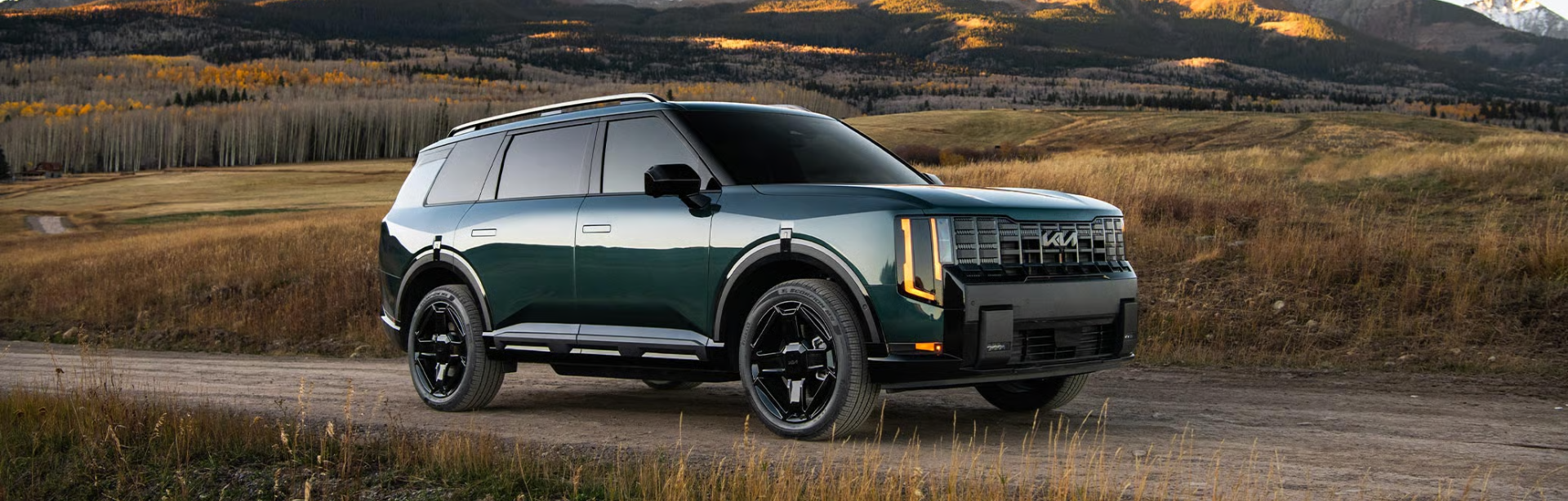 buying at fred anderson kia of greenville