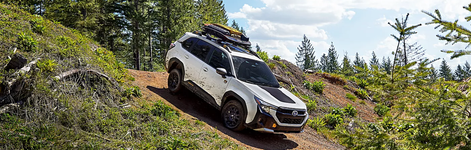 Subaru Forester in Midland.