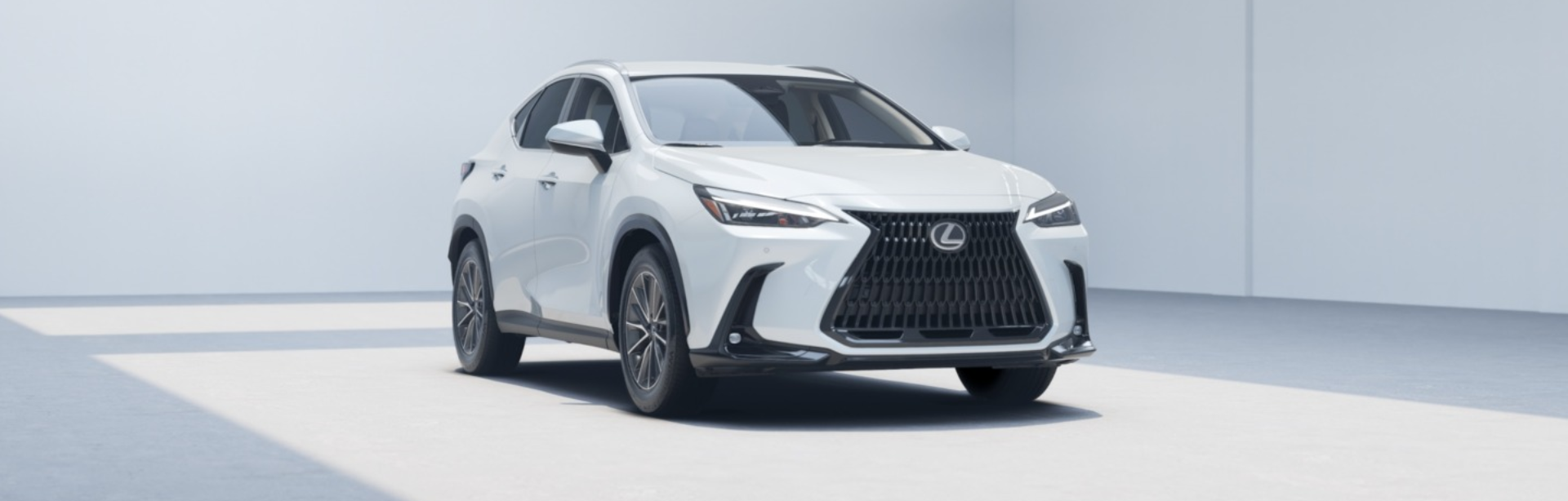 Lexus NX in Durham.