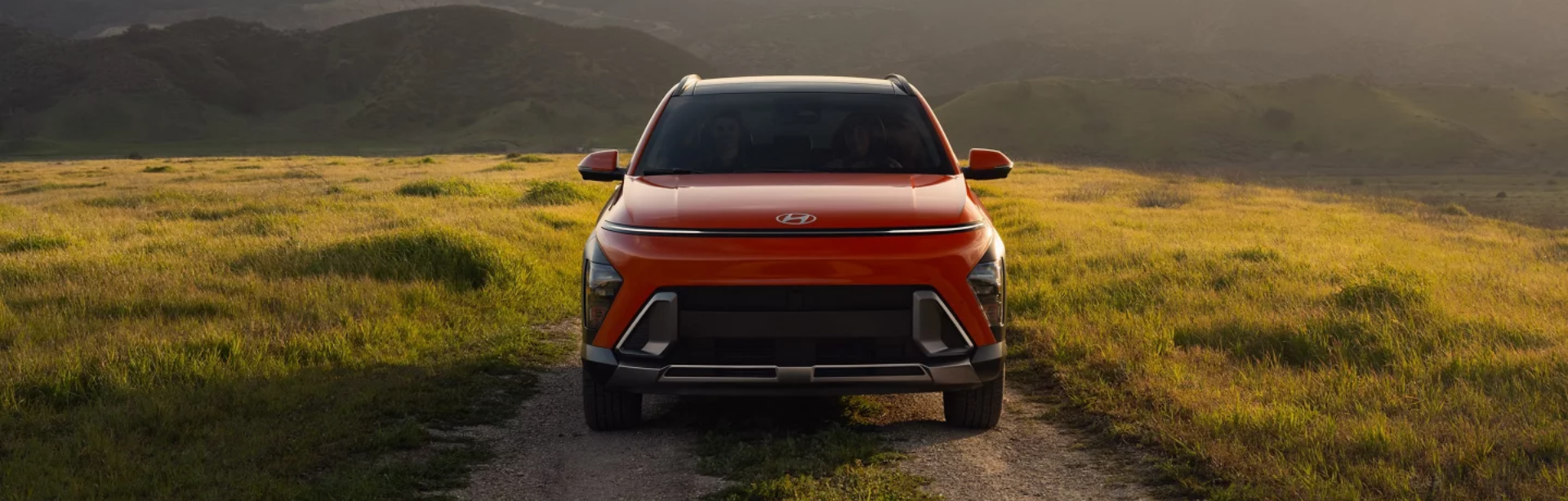Performance & Dynamics