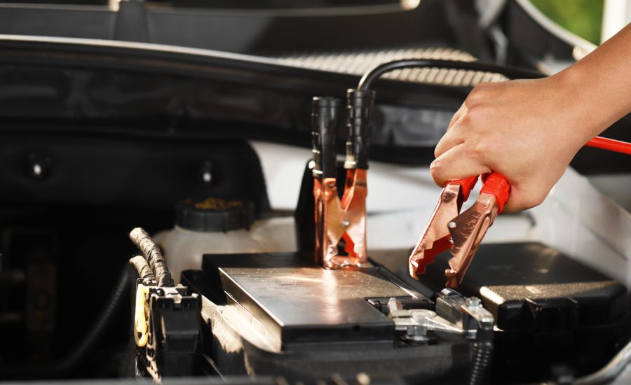Schedule Your Genesis Service Today